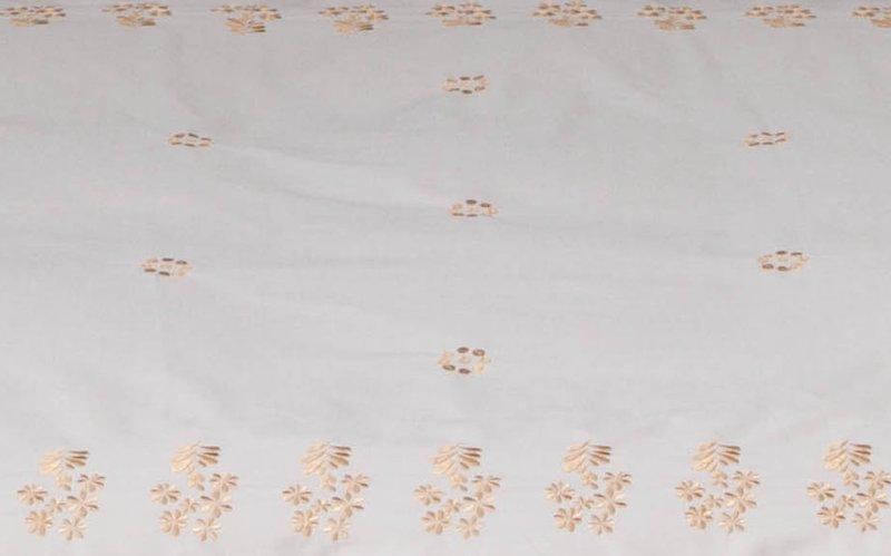 HnL Charming Fern HnL Charming Fern