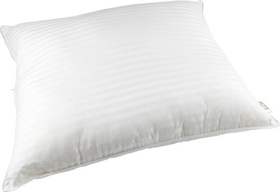 LIV kussen 900gram gevuld