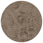 26 SAFARI 04 BUFFALO