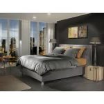 YELLOW PERCALE STEEL GREY 240X200/220CM 100% KATOEN PERKAL